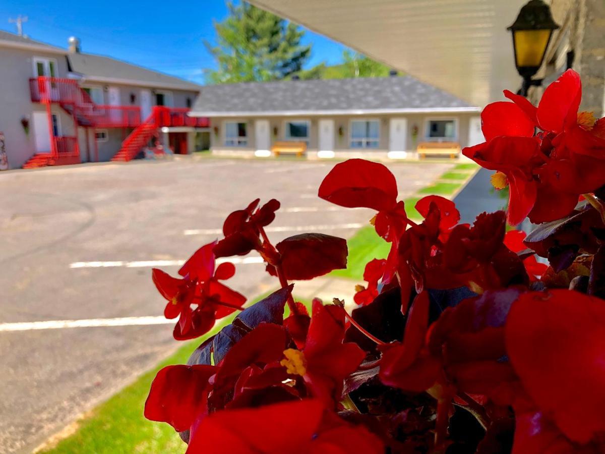 Motel Chantmartin Tadoussac Exterior foto